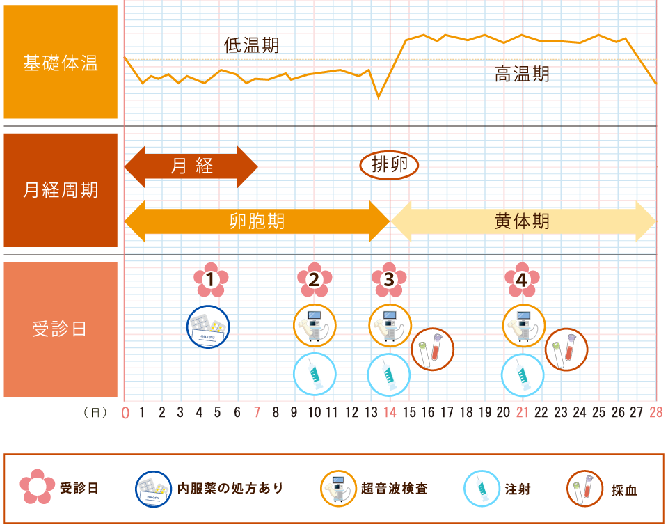 日 何 排卵 から 日 生理 まで 排卵日から着床までは何日？着床までの流れと症状