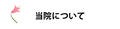 当院について